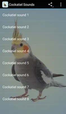 Cockatiel Sounds android App screenshot 0